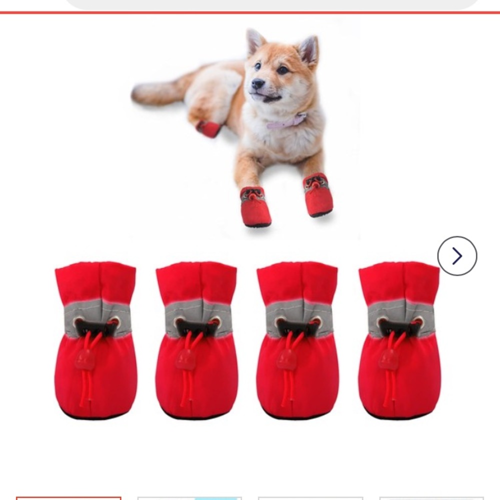 Dog Boots